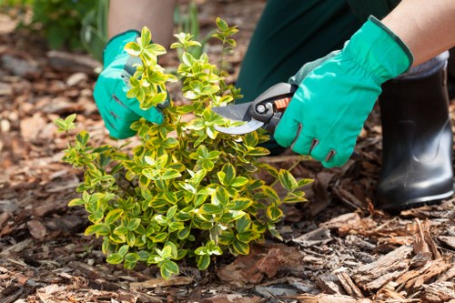 Secure Landscaping Shoreditch payment page with protected checkout