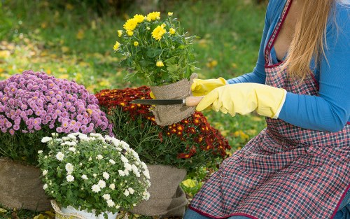Annual review of modern slavery safeguards in landscaping services