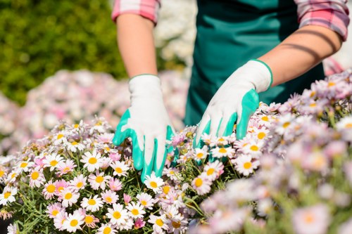 SSL encrypted Landscaping Shoreditch payment process
