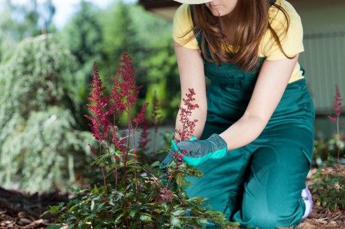 Safe and professional landscaping team working in Shoreditch