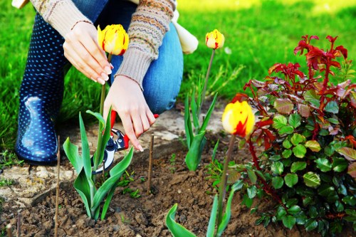 Preparation and landscaping details for a Shoreditch garden makeover